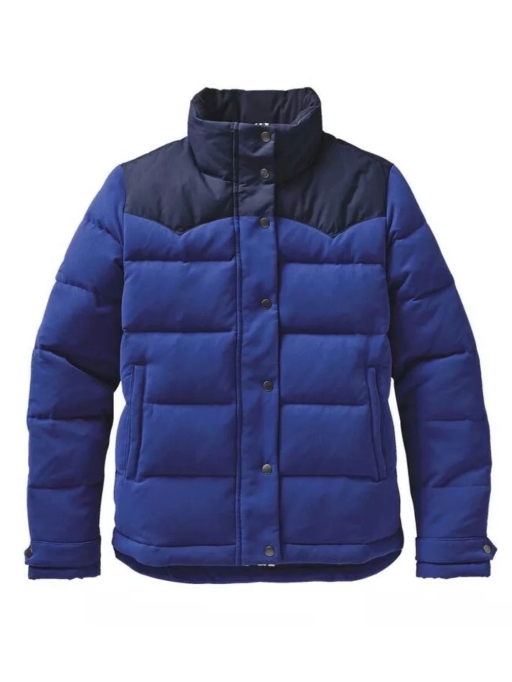 Patagonia Bivy Down Puffer Jacket Mushroom Print Royal Blue Navy